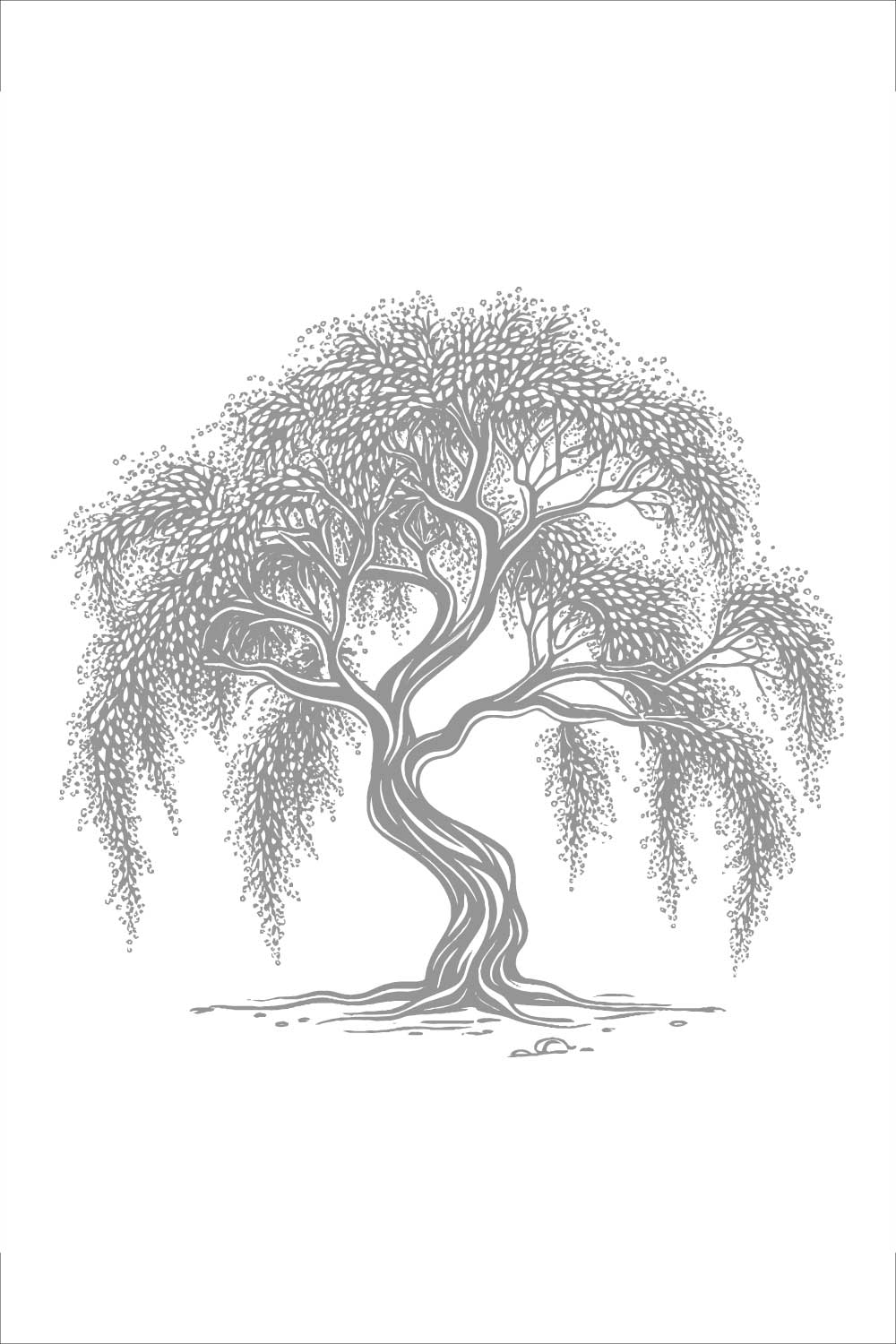 Elegant Weeping Willow Tree Illustration pinterest preview image.