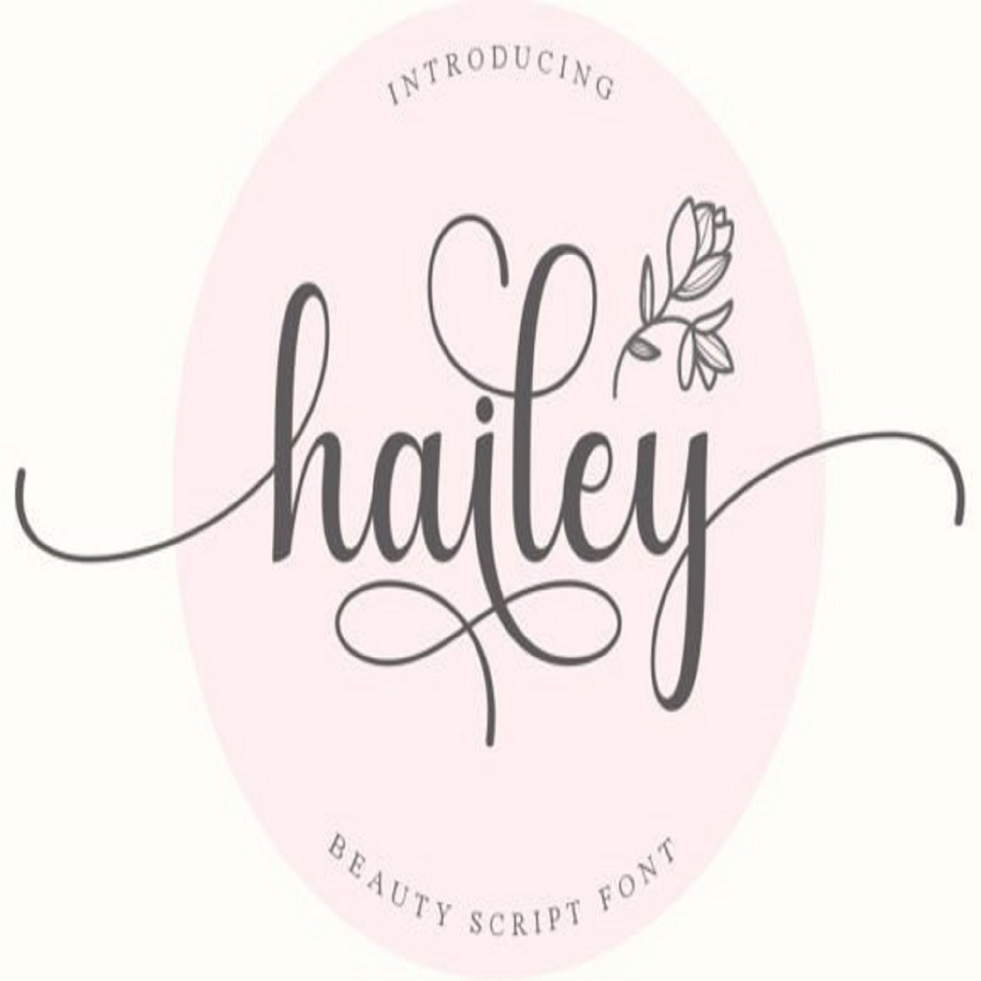 Hailey Font cover image.