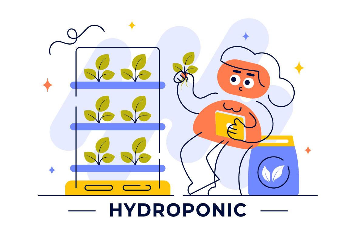 hydroponics 04 633