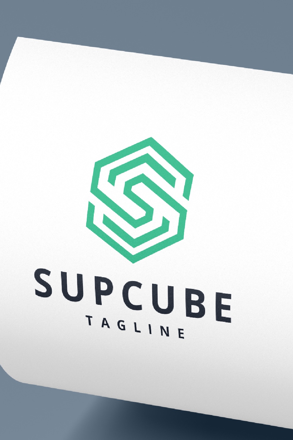Geometric Hexagon S Letter Logo pinterest preview image.