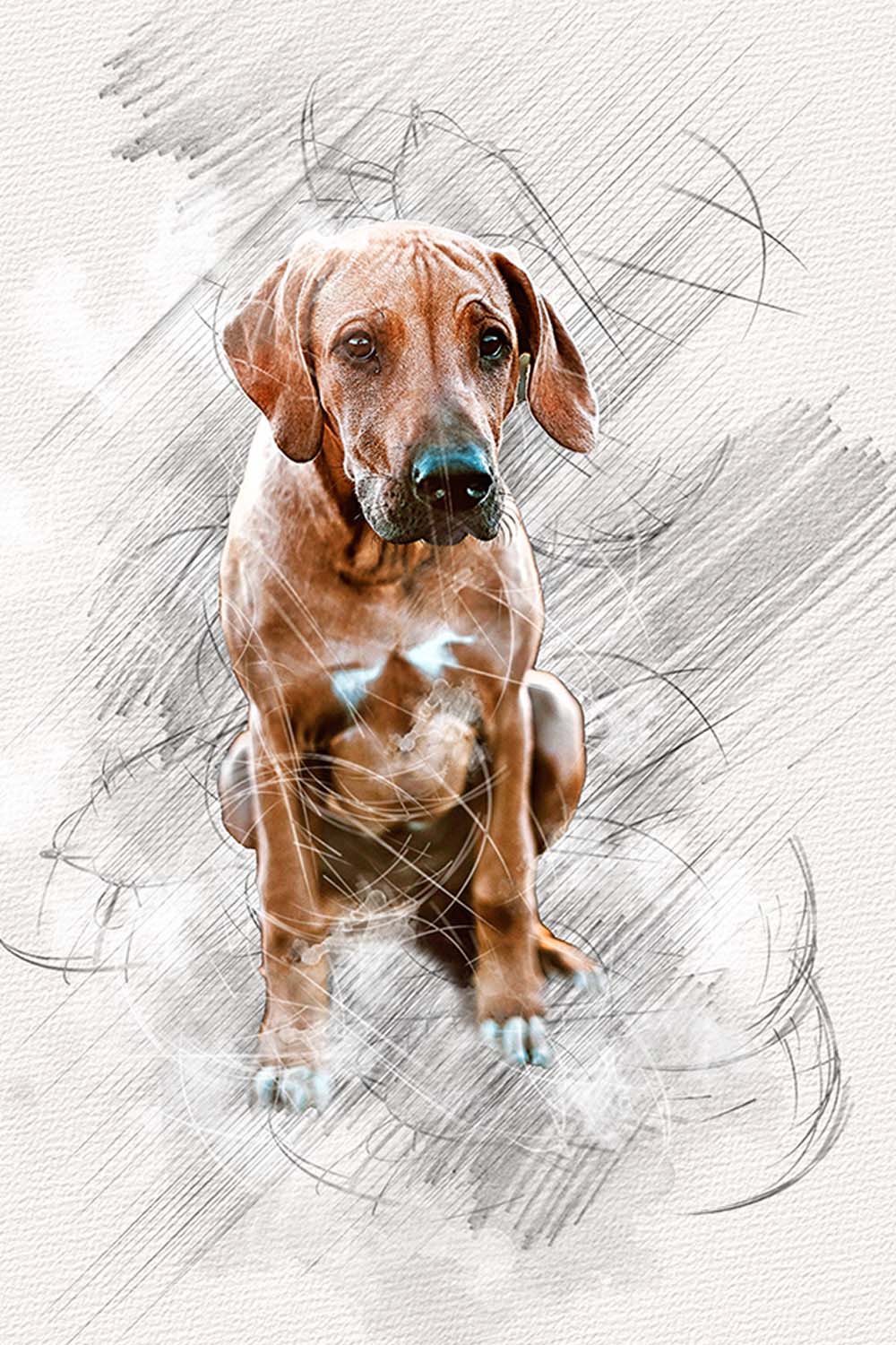 Pet Hand Drawing Photoshop Action pinterest preview image.