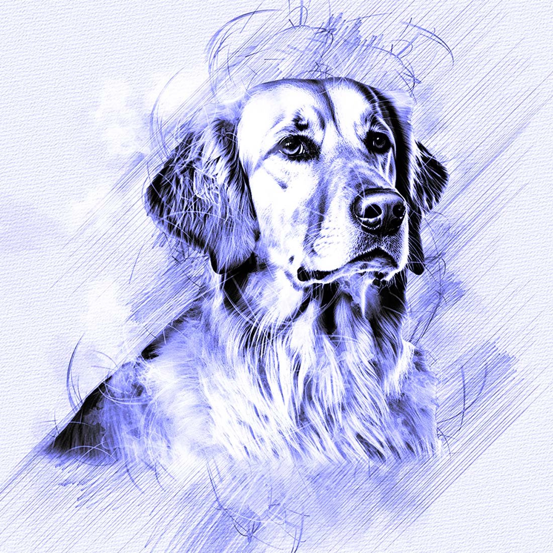 Pet Hand Drawing Photoshop Action preview image.