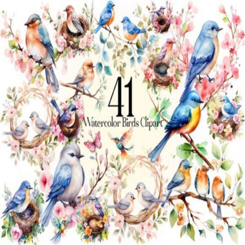 Watercolor Birds Clipart Bundle cover image.
