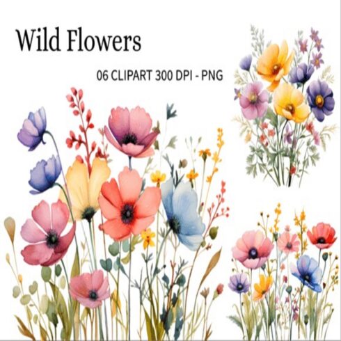 Wild Flowers Watercolor Clipart PNG cover image.
