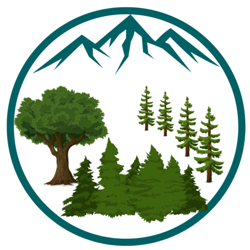 Nature logo design cover image.