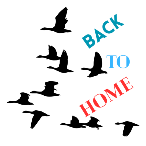 Back to home new T-Shirts design cover image.