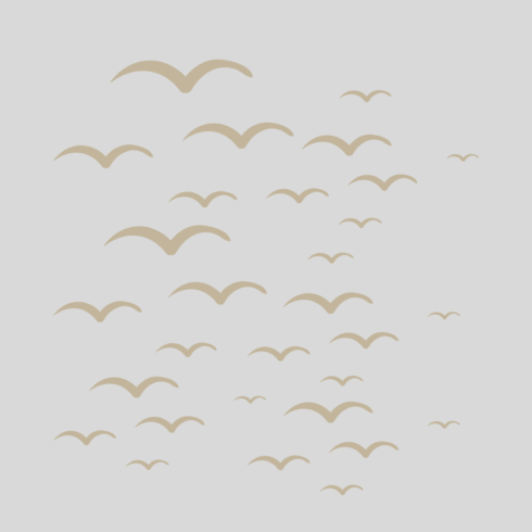 Birds is a new design of T-Shirts cover image.
