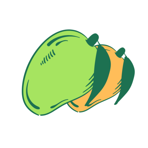 Mango logo design cover image.