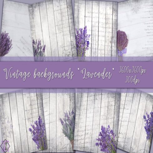 Vintage backgrounds Lavender cover image.