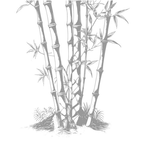 Grey Bamboo Plant Vector Illustration cover image.