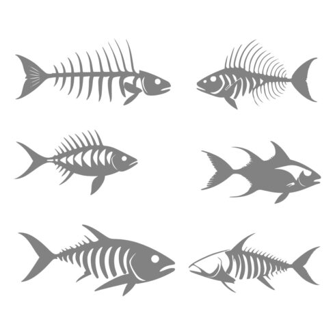Fish Skeleton Vector Collection cover image.