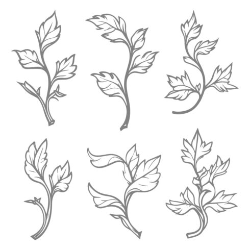 Hand-Drawn Leaf Branch Vector Collection cover image.