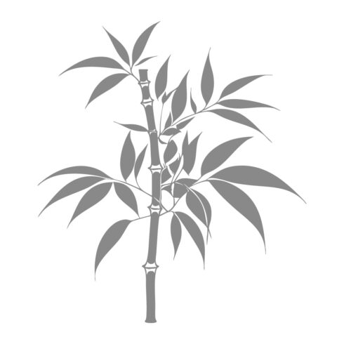 Black and White Vector Illustration of Bamboo Plant cover image.