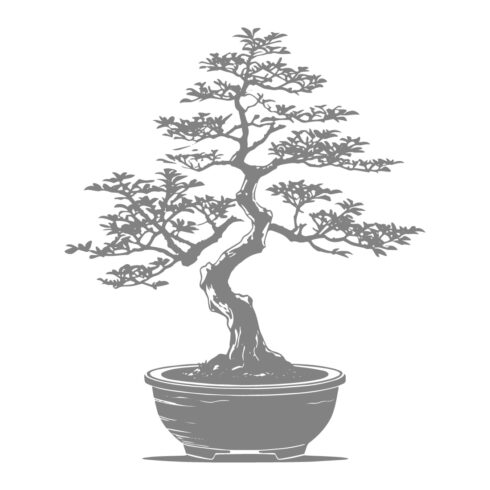 Bonsai Tree Vector Illustration cover image.
