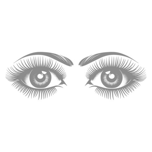 Stylized Female Eyes Vector Illustration cover image.