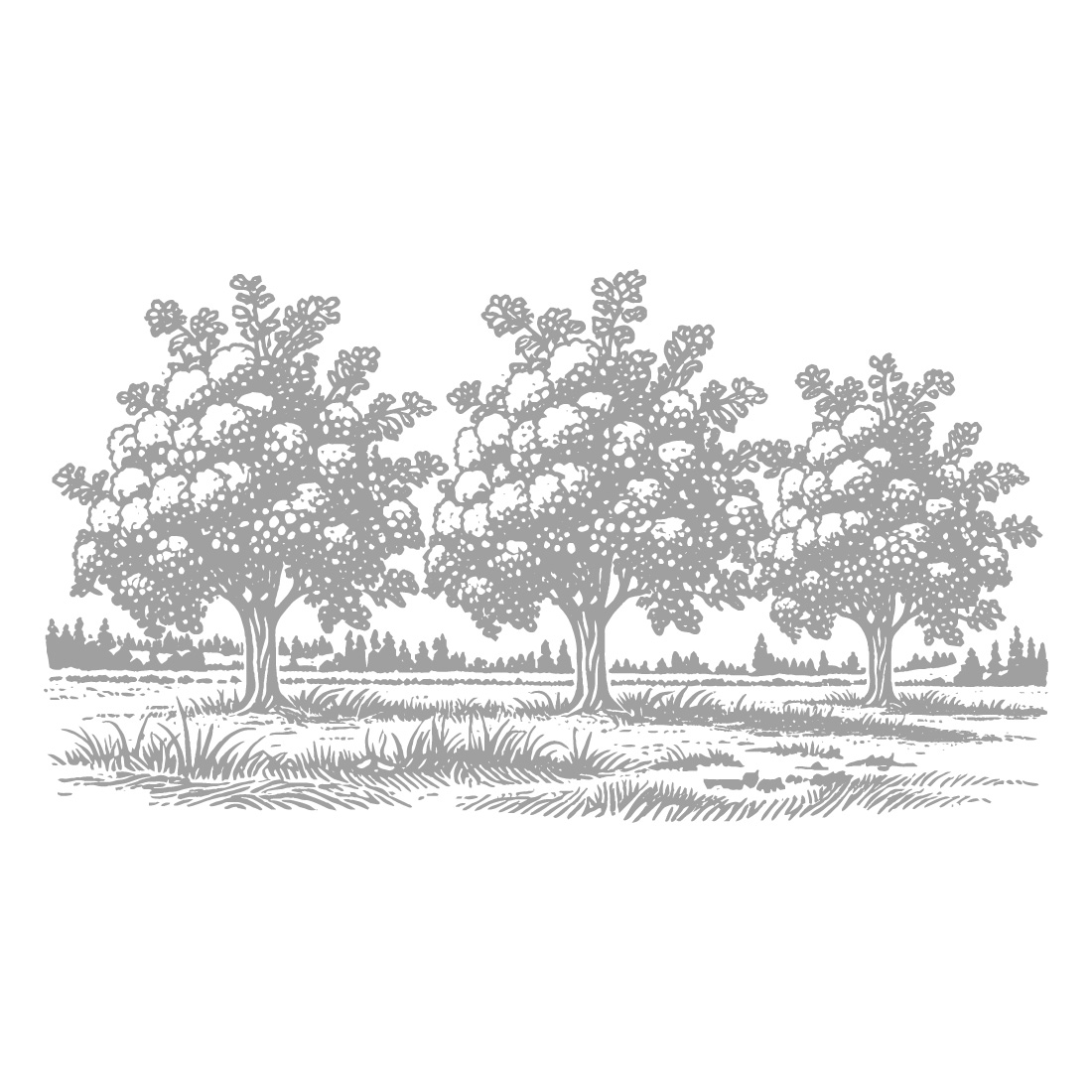 Black and White Hand-Drawn Trees – Vector Illustration cover image.