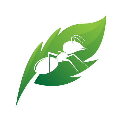 Ant and Leaf Minimalist Logo cover image.