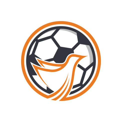 Soccer Ball and Bird Logo cover image.
