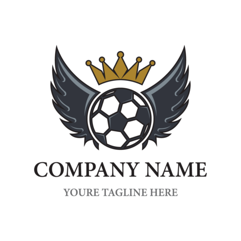 Wings and Soccer Ball Logo Design cover image.