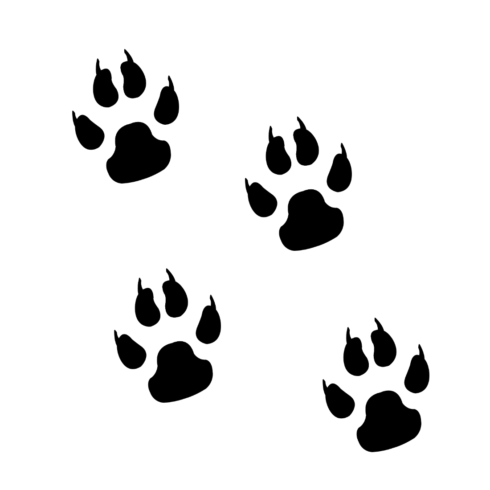 Foot Print new T-Shirt design cover image.
