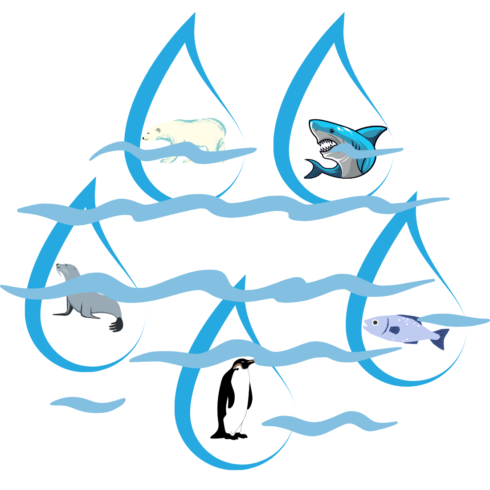 Sea Water new T-Shirt design cover image.
