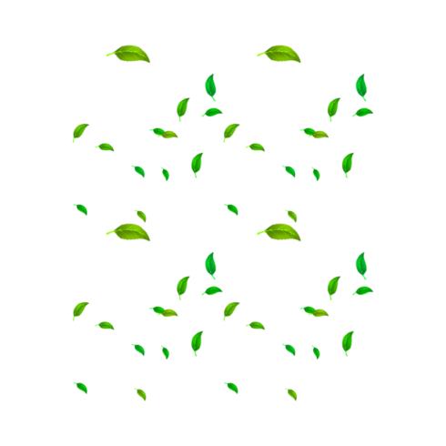 leaves new T-Shirt design cover image.