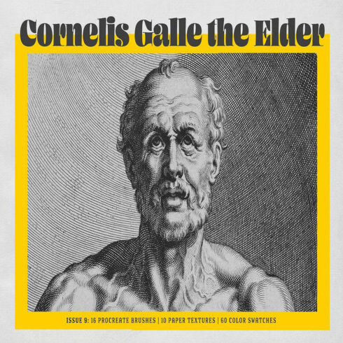 Cornelis Galle Procreate Kit cover image.
