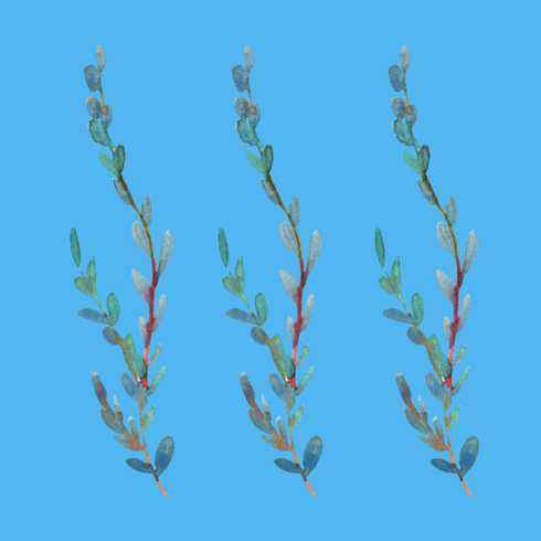 Branches a new T-Shirt design cover image.