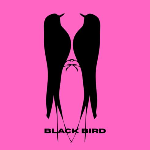 Black Bird New Logo design cover image.
