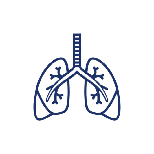 Human Lungs Line Icon Respiratory System, Health Care, and Medical Symbol Vector Illustration cover image.