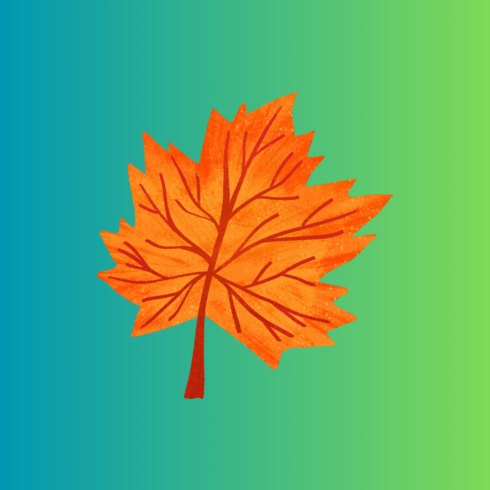 Autumn leaf new T-Shirt dessign cover image.