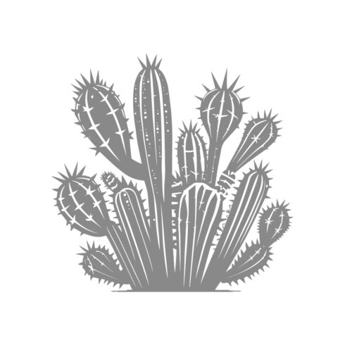 Desert Cactus Design Illustration cover image.