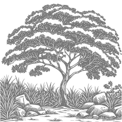 Detailed Vintage Engraving of a Solitary Spreading Tree and Rocky Foreground cover image.