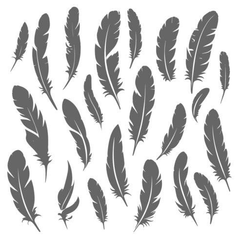 Feather Silhouette Collection cover image.