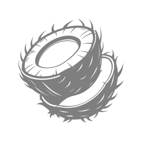 Coconut Halves Design Illustration cover image.