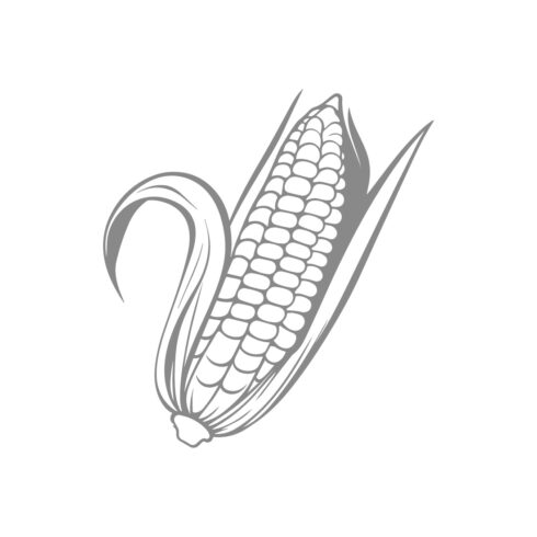 Vintage Corn Vector Illustration cover image.