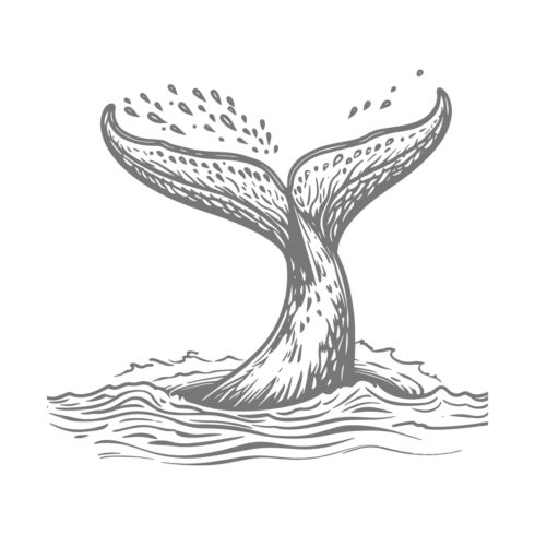 Vintage Engraving Style Whale Tail with Water Splash - Hand-Drawn Nautical Illustration cover image.