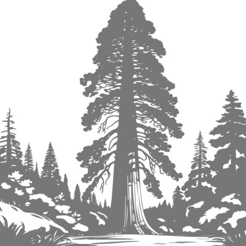 Giant Sequoia or Redwood Tree Forest Silhouette Vector Illustration cover image.