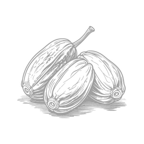 Hand-Drawn Cocoa Pods cover image.