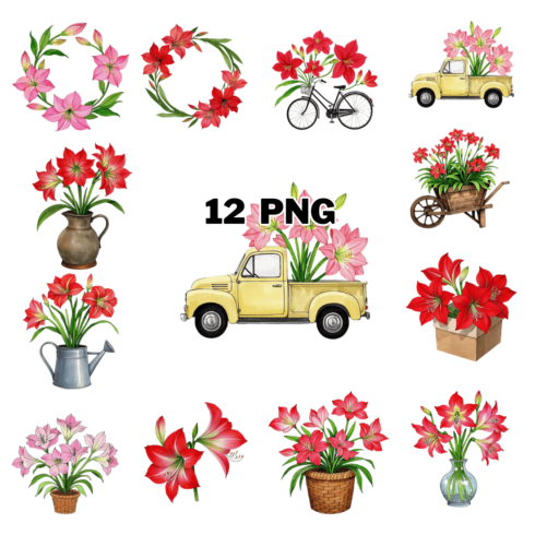 Watercolor Amaryllis Flowers Sublimation Clipart Bundle cover image.