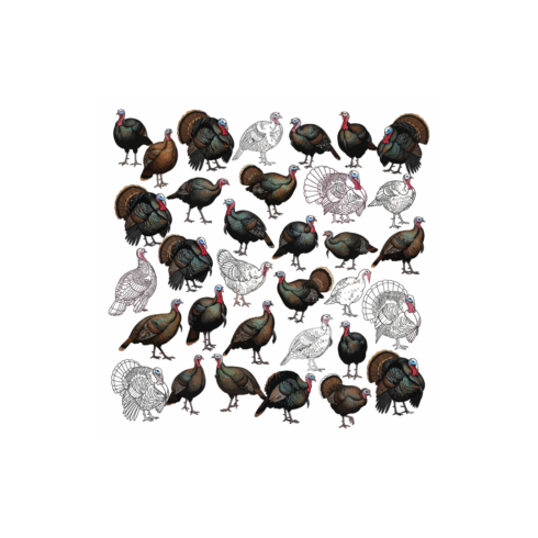 Turkey set vector Turkey set Vector bundle Turkey set vector, illustration, lineart cover image.