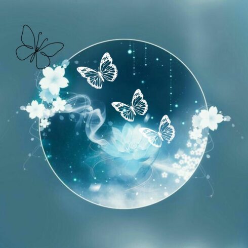 butterflys or birds cover image.