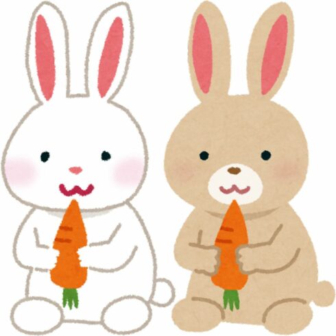 rabbit bear cover image.