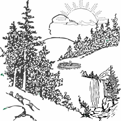 wolfe bear cover image.