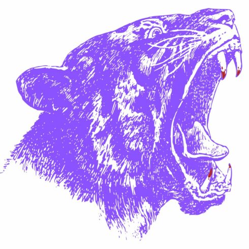 lion bear cover image.