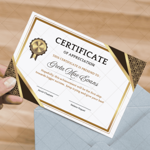 Certificate of Appreciation for Recognizing Outstanding Efforts cover image.