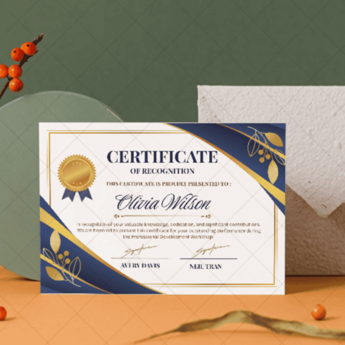 Certificate of Recognition in Professional Workshop Contribution cover image.