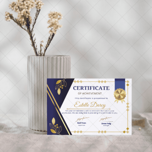 Certificate of Achievement in Professional Distinction cover image.