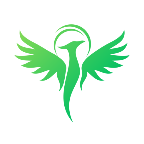 Phoenix a new T-shirt design cover image.