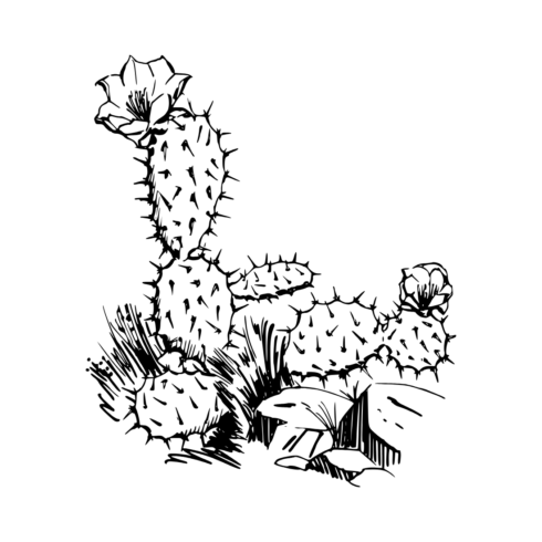 Cactus a new T-Shirt design cover image.